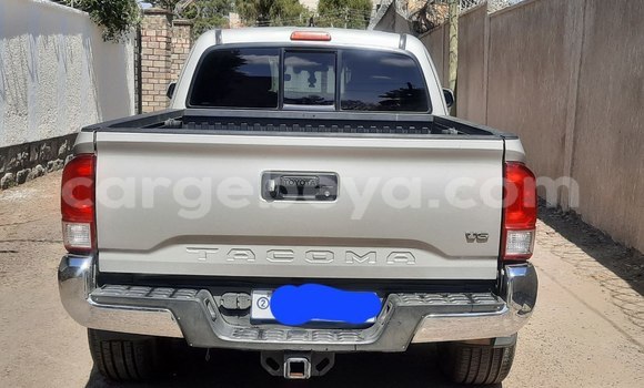 Acheter Occasion Voiture Toyota Tacoma Blanc à Addis Ababa, Ethiopie Acheter Occasion Voiture Toyota Tacoma Blanc à Addis Ababa, Ethiopie