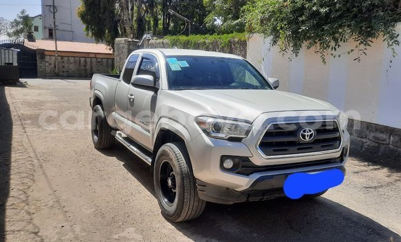 Acheter Occasion Voiture Toyota Tacoma Blanc à Addis Ababa, Ethiopie Acheter Occasion Voiture Toyota Tacoma Blanc à Addis Ababa, Ethiopie