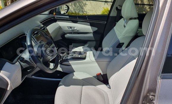 Acheter Occasion Voiture Hyundai Tucson Marron à Addis Ababa, Ethiopie Acheter Occasion Voiture Hyundai Tucson Marron à Addis Ababa, Ethiopie