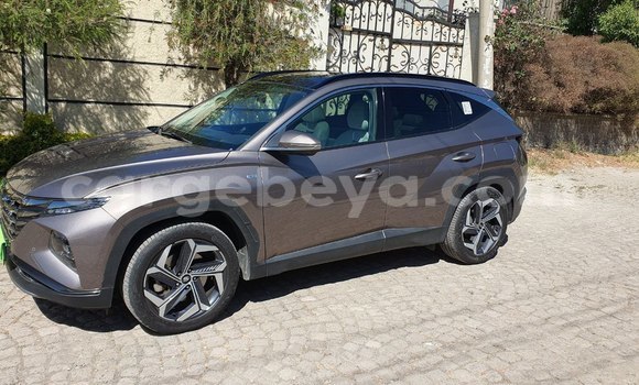 Acheter Occasion Voiture Hyundai Tucson Marron à Addis Ababa, Ethiopie Acheter Occasion Voiture Hyundai Tucson Marron à Addis Ababa, Ethiopie