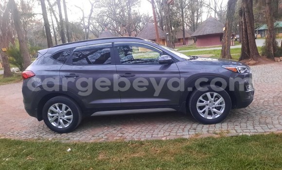 Acheter Occasion Voiture Hyundai Tucson Beige à Addis Ababa, Ethiopie Acheter Occasion Voiture Hyundai Tucson Beige à Addis Ababa, Ethiopie