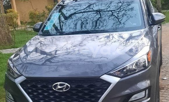Acheter Occasion Voiture Hyundai Tucson Beige à Addis Ababa, Ethiopie Acheter Occasion Voiture Hyundai Tucson Beige à Addis Ababa, Ethiopie