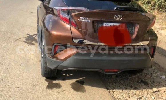 Acheter Occasion Voiture Toyota C-HR Marron à Addis Ababa, Ethiopie Acheter Occasion Voiture Toyota C-HR Marron à Addis Ababa, Ethiopie