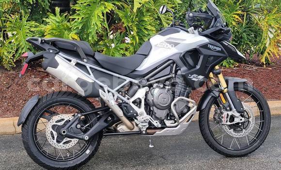 Buy Used Triumph Tiger Black Bike in Addigrat in Tigray