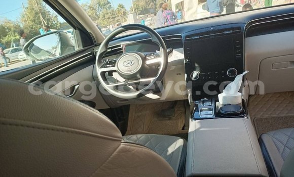 Acheter Occasion Voiture Hyundai Tucson Beige à Addis Ababa, Ethiopie Acheter Occasion Voiture Hyundai Tucson Beige à Addis Ababa, Ethiopie