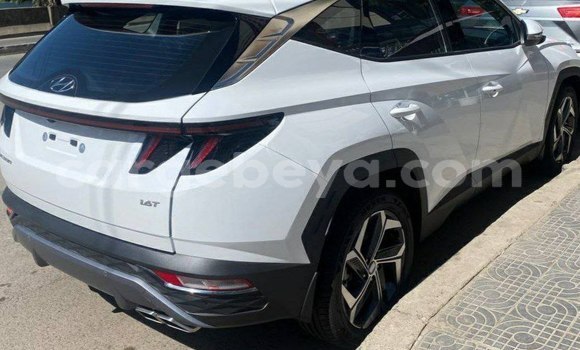 Buy New Hyundai Tucson White Car in Addis–Ababa in Ethiopia Buy New Hyundai Tucson White Car in Addis–Ababa in Ethiopia