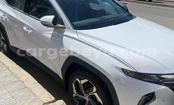 Acheter Neuf Voiture Hyundai Tucson Blanc à Addis Ababa, Ethiopie Acheter Neuf Voiture Hyundai Tucson Blanc à Addis Ababa, Ethiopie