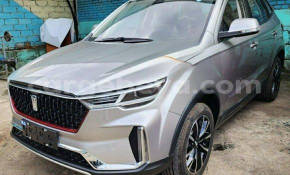 ይግዙ አዲስ FAW B30 ብር መኪና በ አዲስ አበባ በ ኢትዮጵያ ይግዙ አዲስ FAW B30 ብር መኪና በ አዲስ አበባ በ ኢትዮጵያ