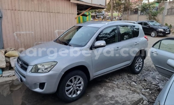 ይግዙ ያገለገለ Toyota RAV4 ብር መኪና በ አዲስ አበባ በ ኢትዮጵያ ይግዙ ያገለገለ Toyota RAV4 ብር መኪና በ አዲስ አበባ በ ኢትዮጵያ