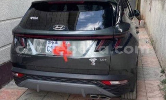 ይግዙ ያገለገለ Hyundai Tucson ሌላ መኪና በ አዲስ አበባ በ ኢትዮጵያ ይግዙ ያገለገለ Hyundai Tucson ሌላ መኪና በ አዲስ አበባ በ ኢትዮጵያ