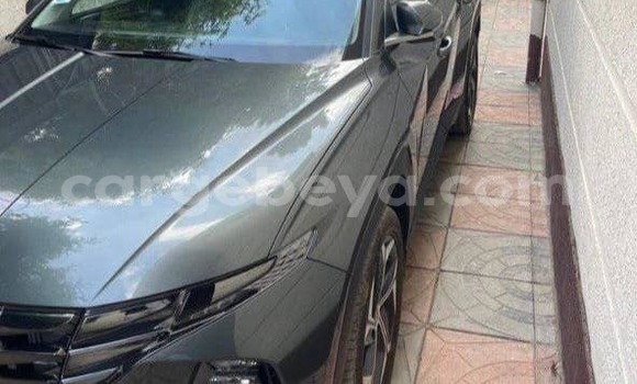 ይግዙ ያገለገለ Hyundai Tucson ሌላ መኪና በ አዲስ አበባ በ ኢትዮጵያ ይግዙ ያገለገለ Hyundai Tucson ሌላ መኪና በ አዲስ አበባ በ ኢትዮጵያ