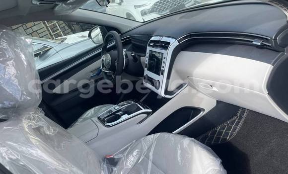 ይግዙ አዲስ Hyundai Tucson Beige መኪና በ አዲስ አበባ በ ኢትዮጵያ ይግዙ አዲስ Hyundai Tucson Beige መኪና በ አዲስ አበባ በ ኢትዮጵያ