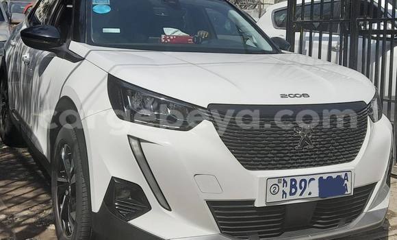Buy Used Peugeot 2008 White Car in Addis–Ababa in Ethiopia Buy Used Peugeot 2008 White Car in Addis–Ababa in Ethiopia