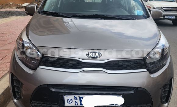Buy Used Kia Picanto Beige Car in Addis–Ababa in Ethiopia
