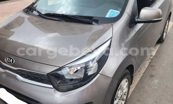 Acheter Occasion Voiture Kia Picanto Beige à Addis Ababa, Ethiopie Acheter Occasion Voiture Kia Picanto Beige à Addis Ababa, Ethiopie