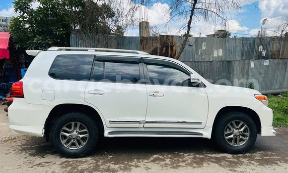 Acheter Occasion Voiture Toyota Land Cruiser Blanc à Addis Ababa, Ethiopie Acheter Occasion Voiture Toyota Land Cruiser Blanc à Addis Ababa, Ethiopie