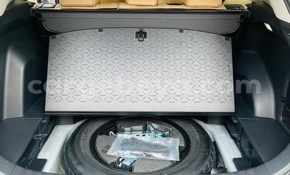 Acheter Neuf Voiture Toyota RAV4 Beige à Addis Ababa, Ethiopie Acheter Neuf Voiture Toyota RAV4 Beige à Addis Ababa, Ethiopie