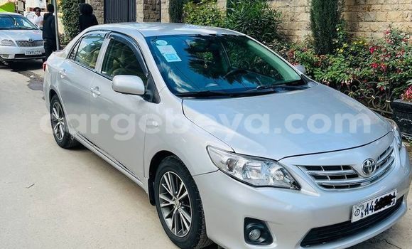 Buy Used Toyota Corolla Silver Car in Addis–Ababa in Ethiopia Buy Used Toyota Corolla Silver Car in Addis–Ababa in Ethiopia