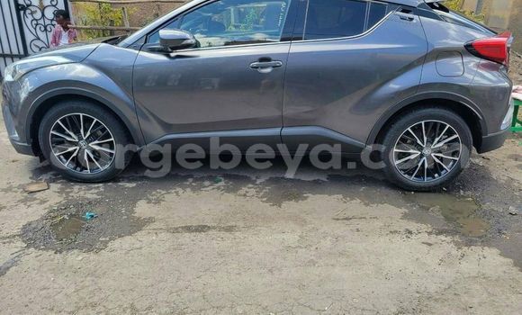 Buy Used Toyota C-HR Black Car in Addis–Ababa in Ethiopia Buy Used Toyota C-HR Black Car in Addis–Ababa in Ethiopia