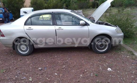 Buy Used Toyota Corolla Silver Car in Addis–Ababa in Ethiopia