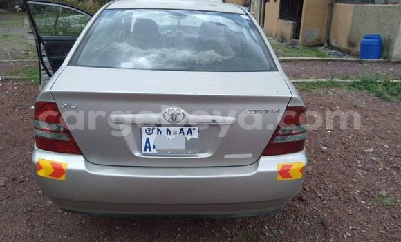 ይግዙ ያገለገለ Toyota Corolla ብር መኪና በ አዲስ አበባ በ ኢትዮጵያ ይግዙ ያገለገለ Toyota Corolla ብር መኪና በ አዲስ አበባ በ ኢትዮጵያ