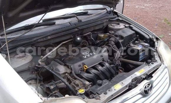 ይግዙ ያገለገለ Toyota Corolla ብር መኪና በ አዲስ አበባ በ ኢትዮጵያ ይግዙ ያገለገለ Toyota Corolla ብር መኪና በ አዲስ አበባ በ ኢትዮጵያ