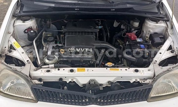 ይግዙ ያገለገለ Toyota Platz ነጭ መኪና በ አዲስ አበባ በ ኢትዮጵያ ይግዙ ያገለገለ Toyota Platz ነጭ መኪና በ አዲስ አበባ በ ኢትዮጵያ