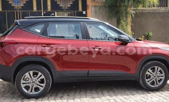 Acheter Occasion Voiture Kia Sorento Rouge à Addis Ababa, Ethiopie Acheter Occasion Voiture Kia Sorento Rouge à Addis Ababa, Ethiopie