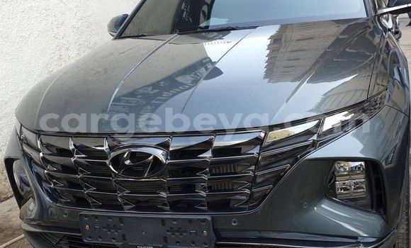 Acheter Neuf Voiture Hyundai Tucson Beige à Addis Ababa, Ethiopie Acheter Neuf Voiture Hyundai Tucson Beige à Addis Ababa, Ethiopie