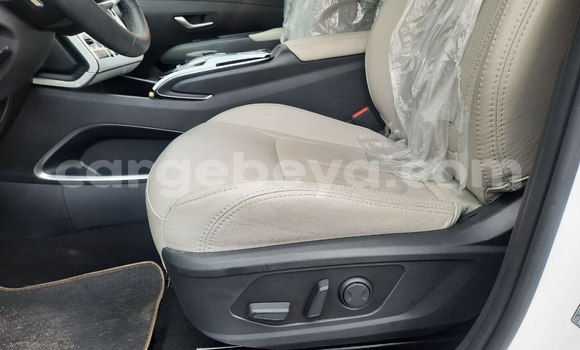 Acheter Neuf Voiture Hyundai Tucson Beige à Addis Ababa, Ethiopie Acheter Neuf Voiture Hyundai Tucson Beige à Addis Ababa, Ethiopie