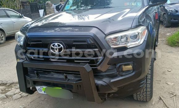 Buy Used Toyota Tacoma Beige Car in Addis–Ababa in Ethiopia