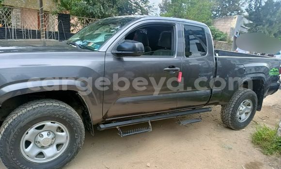 Acheter Occasion Voiture Toyota Tacoma Beige à Addis Ababa, Ethiopie Acheter Occasion Voiture Toyota Tacoma Beige à Addis Ababa, Ethiopie