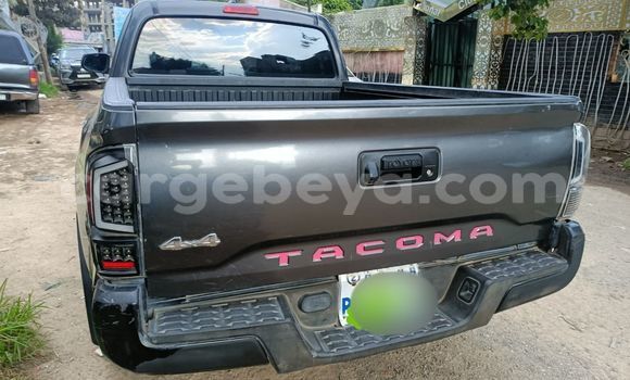 Acheter Occasion Voiture Toyota Tacoma Beige à Addis Ababa, Ethiopie Acheter Occasion Voiture Toyota Tacoma Beige à Addis Ababa, Ethiopie