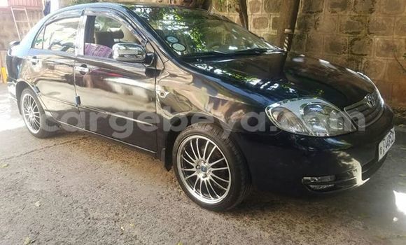 Buy Used Toyota Corolla Black Car in Addis–Ababa in Ethiopia Buy Used Toyota Corolla Black Car in Addis–Ababa in Ethiopia