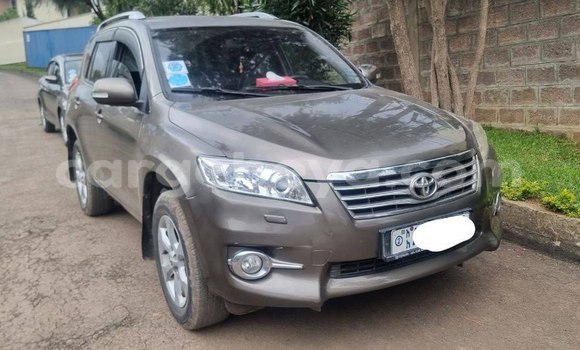 ይግዙ ያገለገለ Toyota RAV4 ብናማ መኪና በ አዲስ አበባ በ ኢትዮጵያ