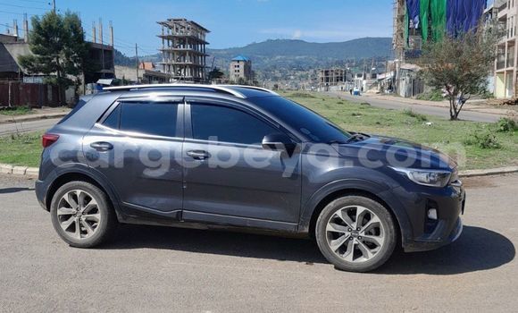 Buy Used Kia Stonic Beige Car in Addis–Ababa in Ethiopia