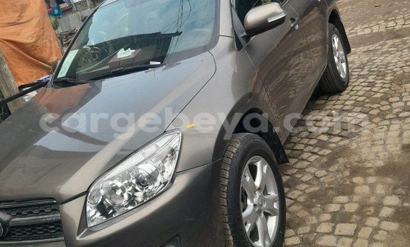 Acheter Occasion Voiture Toyota RAV4 Marron à Addis Ababa, Ethiopie