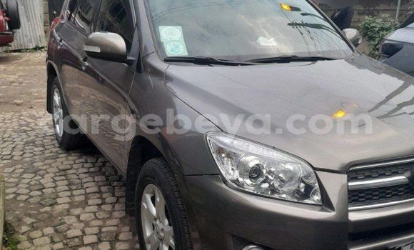 Buy Used Toyota RAV4 Brown Car in Addis–Ababa in Ethiopia Buy Used Toyota RAV4 Brown Car in Addis–Ababa in Ethiopia