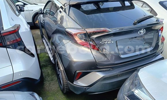 Buy New Toyota C-HR Beige Car in Addis–Ababa in Ethiopia Buy New Toyota C-HR Beige Car in Addis–Ababa in Ethiopia