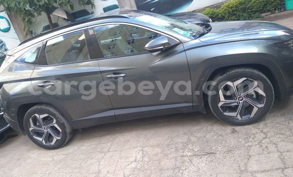 Buy Used Hyundai Tucson Beige Car in Addis–Ababa in Ethiopia Buy Used Hyundai Tucson Beige Car in Addis–Ababa in Ethiopia