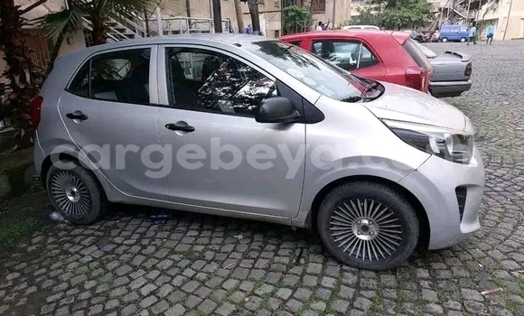 Buy Used Kia Picanto Other Car in Addis Zemen in Amhara