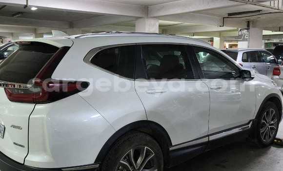 Buy Used Honda CR–V White Car in Addis–Ababa in Ethiopia Buy Used Honda CR–V White Car in Addis–Ababa in Ethiopia