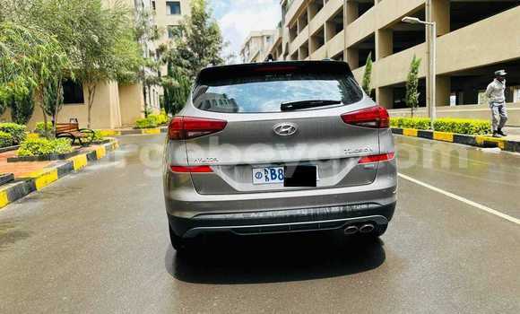 Buy Used Hyundai Tucson Other Car in Addis–Ababa in Ethiopia Buy Used Hyundai Tucson Other Car in Addis–Ababa in Ethiopia