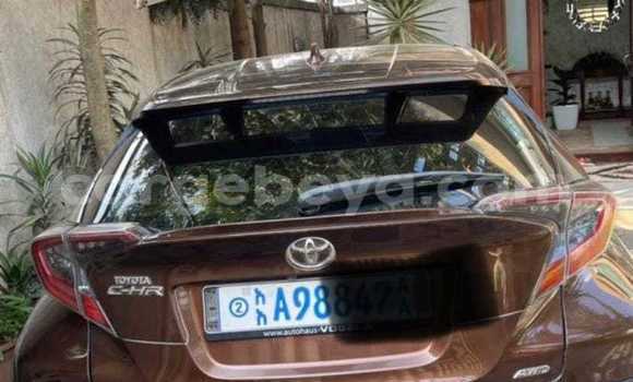Buy Used Toyota C-HR Other Car in Addis–Ababa in Ethiopia Buy Used Toyota C-HR Other Car in Addis–Ababa in Ethiopia