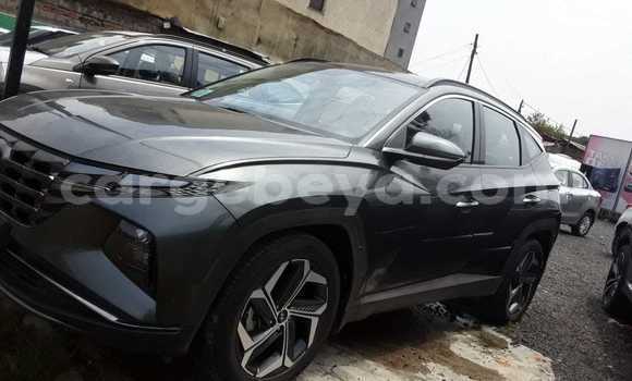 ይግዙ ያገለገለ Hyundai Tucson ሌላ መኪና በ አዲስ አበባ በ ኢትዮጵያ