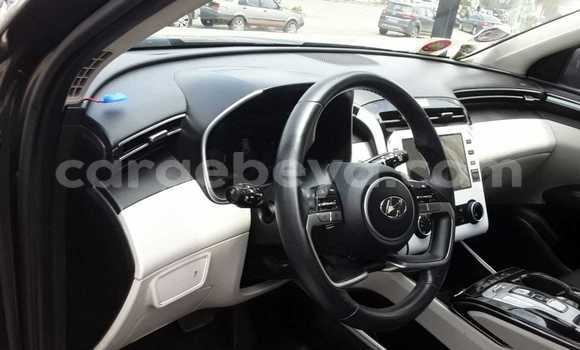 Buy Used Hyundai Tucson Other Car in Addis–Ababa in Ethiopia Buy Used Hyundai Tucson Other Car in Addis–Ababa in Ethiopia