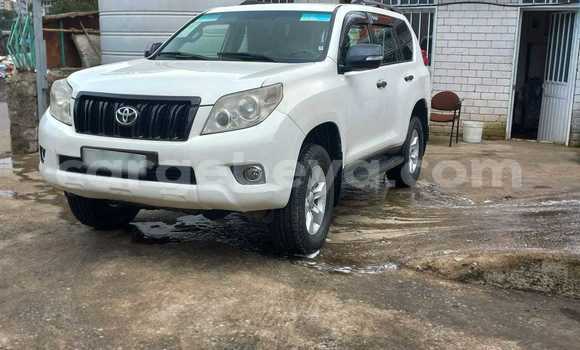 Buy Used Toyota Land Cruiser Prado White Car in Addis–Ababa in Ethiopia Buy Used Toyota Land Cruiser Prado White Car in Addis–Ababa in Ethiopia