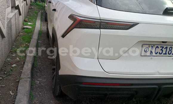 Oofamaa Dacia 1410 White Makiinaa iti Addis–Ababa keessatti Ethiopia keessatti Oofamaa Dacia 1410 White Makiinaa iti Addis–Ababa keessatti Ethiopia keessatti