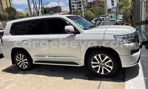 ይግዙ ያገለገለ Toyota Land Cruiser ነጭ መኪና በ አዲስ አበባ በ ኢትዮጵያ