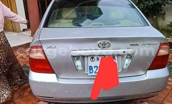 Buy Used Toyota Corolla Other Car in Addis–Ababa in Ethiopia Buy Used Toyota Corolla Other Car in Addis–Ababa in Ethiopia